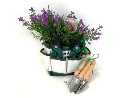 Sensational Spring Garden ($40)