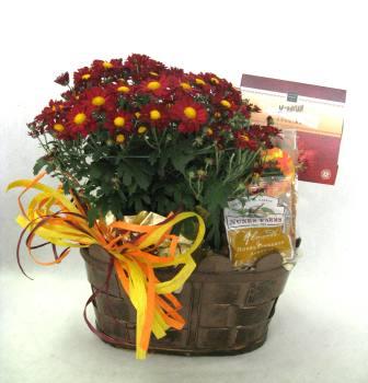 Sensational Mum's the Word ($38) (Fall Gifts)